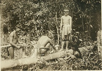 The_pagan_tribes_of_Borneo_a_description_of_their_physical_moral_and_intellectual_condition_with_some_discussion_of_their_ethnic_relations.jpg